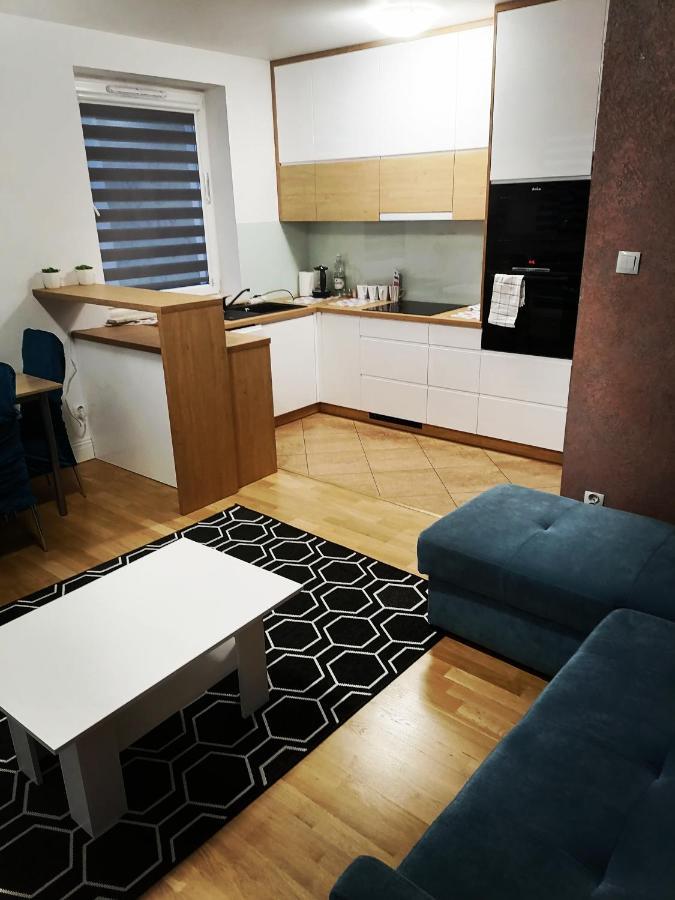 Apartament Luxbibi Apartamento Rzeszów Exterior foto